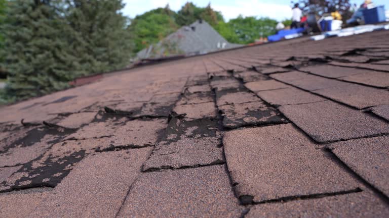  Kenneth City, FL Roofing Service Pros