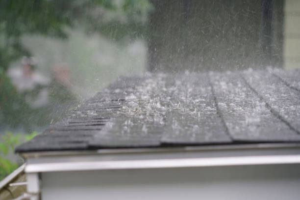 Gutter Replacement in Kenneth City, FL